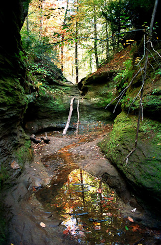 One of the numerous steep-walled natural canyons carved out of stone in  Turkey Run State Park in Parke County, IN