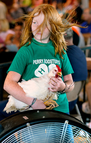12-year-old Kendra Martin tries to keep her broiler chicken cool by a large barn fan before she luctions the chicken off at teh 2009 Allen County 4-H Livestock Auction Monday afternoon at the Allen County Fairgrounds.